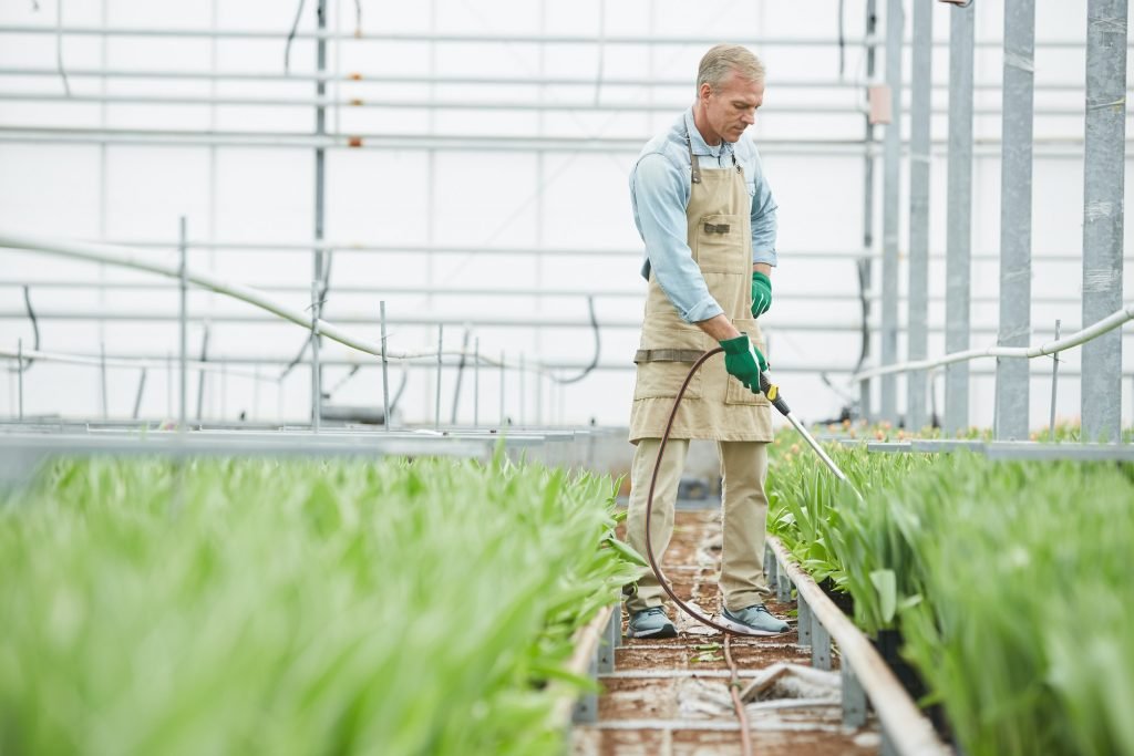 Worker Fertilizing Flowers